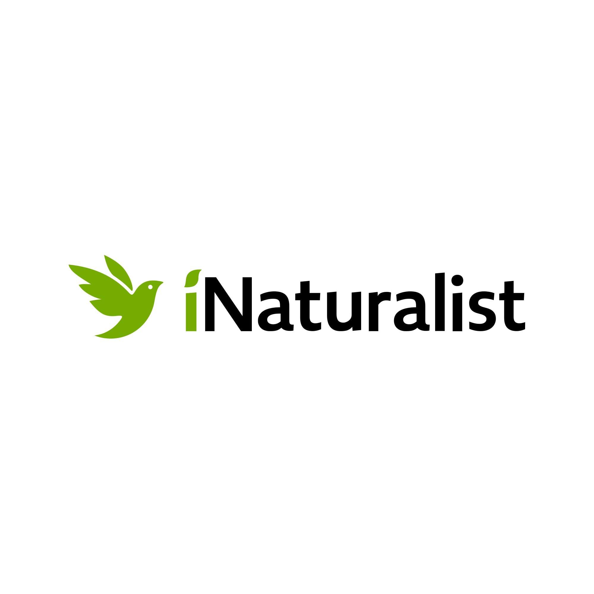 Vista de iNaturalist