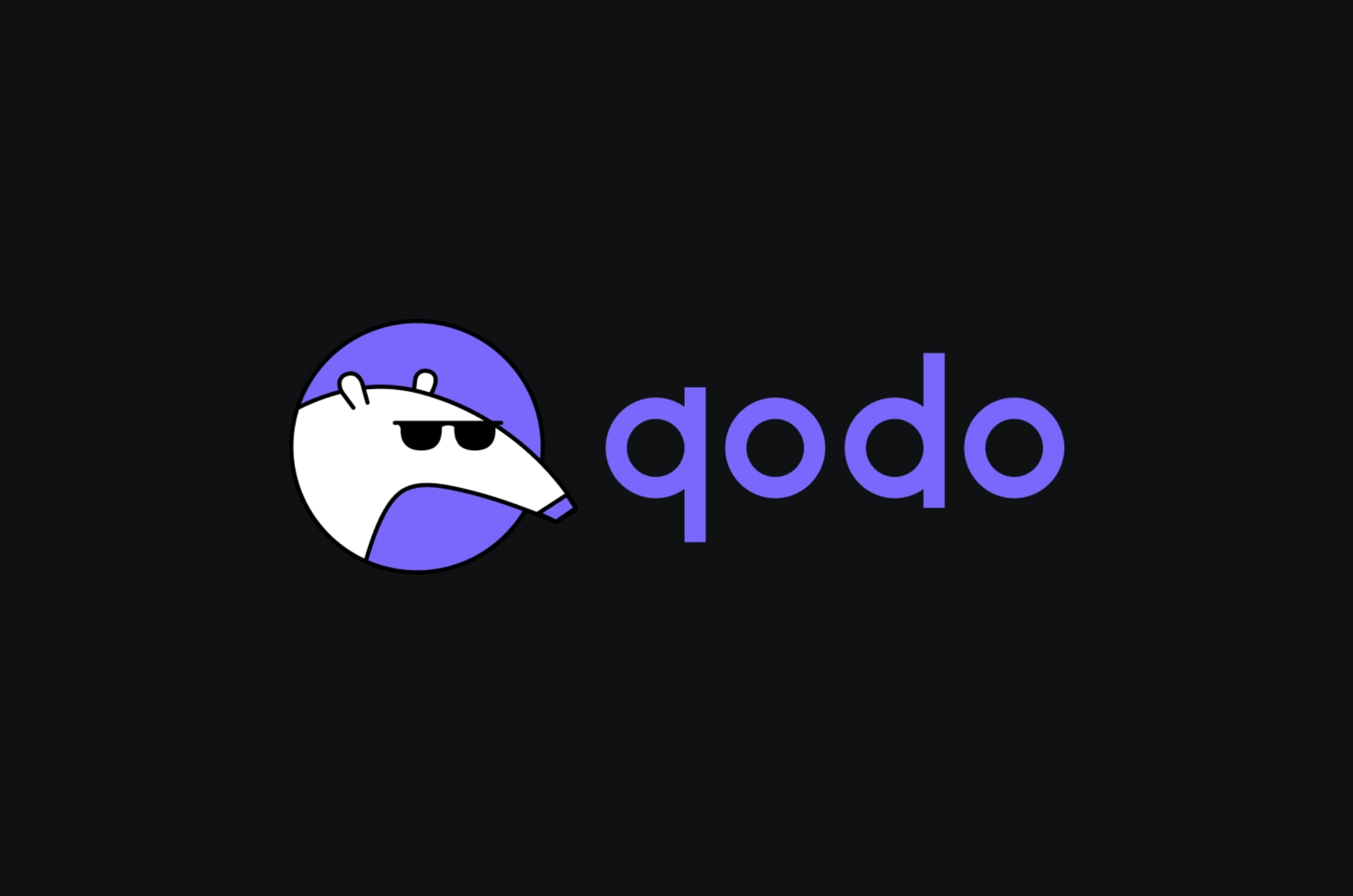 Vista de CodiumAI